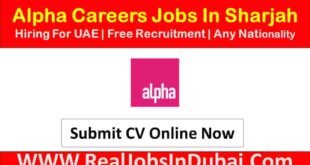 Alpha Group Careers Jobs