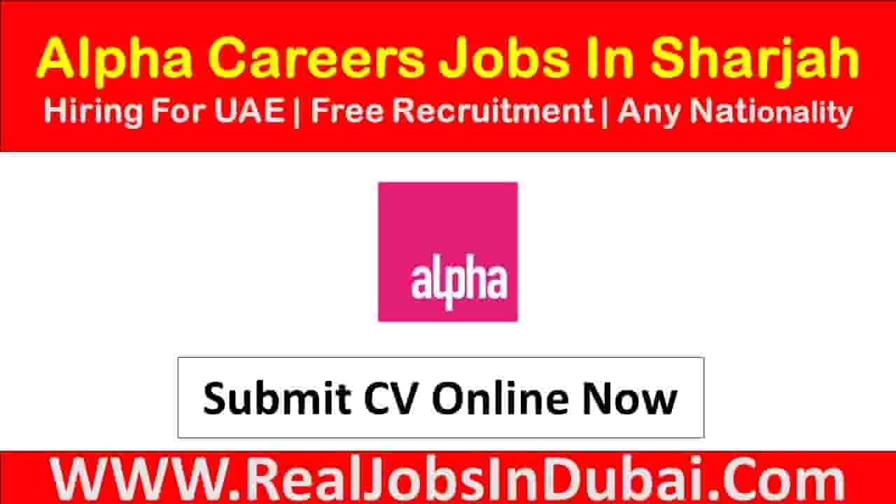 Alpha Group Careers Jobs