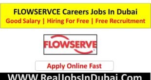 Flowserve Jobs In Dubai