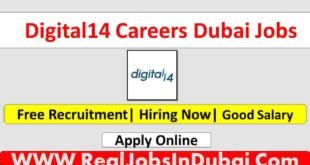 Digital14 Careers Jobs In Dubai