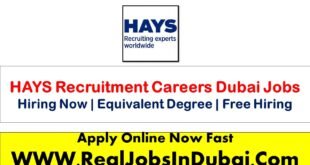 HAYS Recruitment Careers Jobs In Dubai