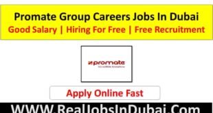 Promate Group Careers Dubai Jobs