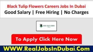 Black Tulip Flowers Jobs In Dubai