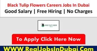 Black Tulip Flowers Jobs In Dubai