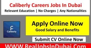 Caliberly Careers Jobs In Dubai