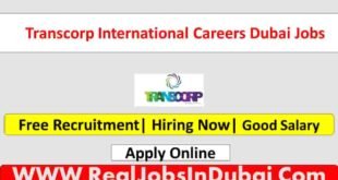 Transcorp International Careers Jobs In Dubai