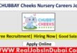CHUBBAY Cheeks Nursery Careers Jobs