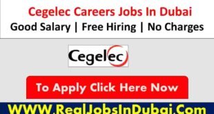 Cegelec Careers Jobs In Dubai