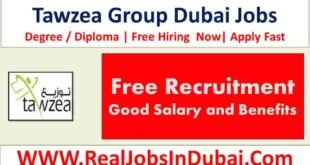 Tawzea Group Careers Jobs