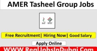 AMER Tasheel Dubai Careers