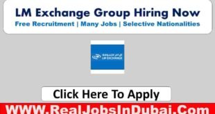 LM Exchange Careers Jobs