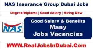 NAS Insurance Careers Jobs In Dubai