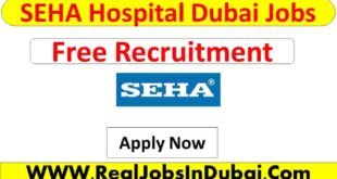 SHEA Careers Dubai Jobs