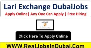 Lari Exchange Group Jobs In Dubai