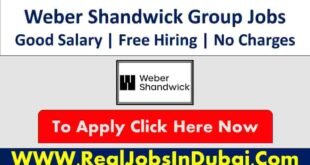 Weber Shandwick Careers Jobs