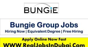 Bungie Careers Jobs