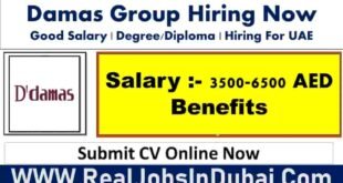 Damas Group Jobs In Dubai