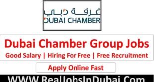 Dubai Chamber Careers Jobs