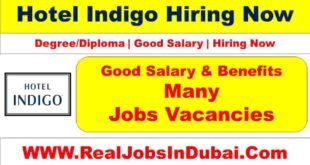 Indigo Hotel Jobs In Dubai