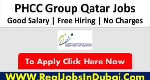 PHCC Group Jobs In Qatar