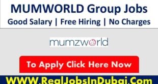 MUMWORLD Group Jobs