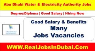 ADEWA Careers Jobs