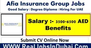 Afia Insurance Careers