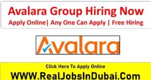 Avalara Group Jobs In USA