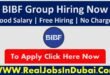 BIBF Group Bahrain Jobs