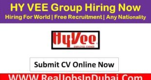 Hy Vee Group Jobs In USA