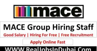 Mace Group Jobs