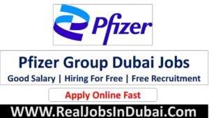 Pfizer Group Jobs In Dubai
