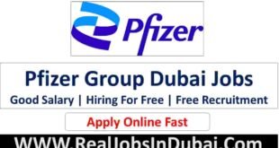 Pfizer Group Jobs In Dubai