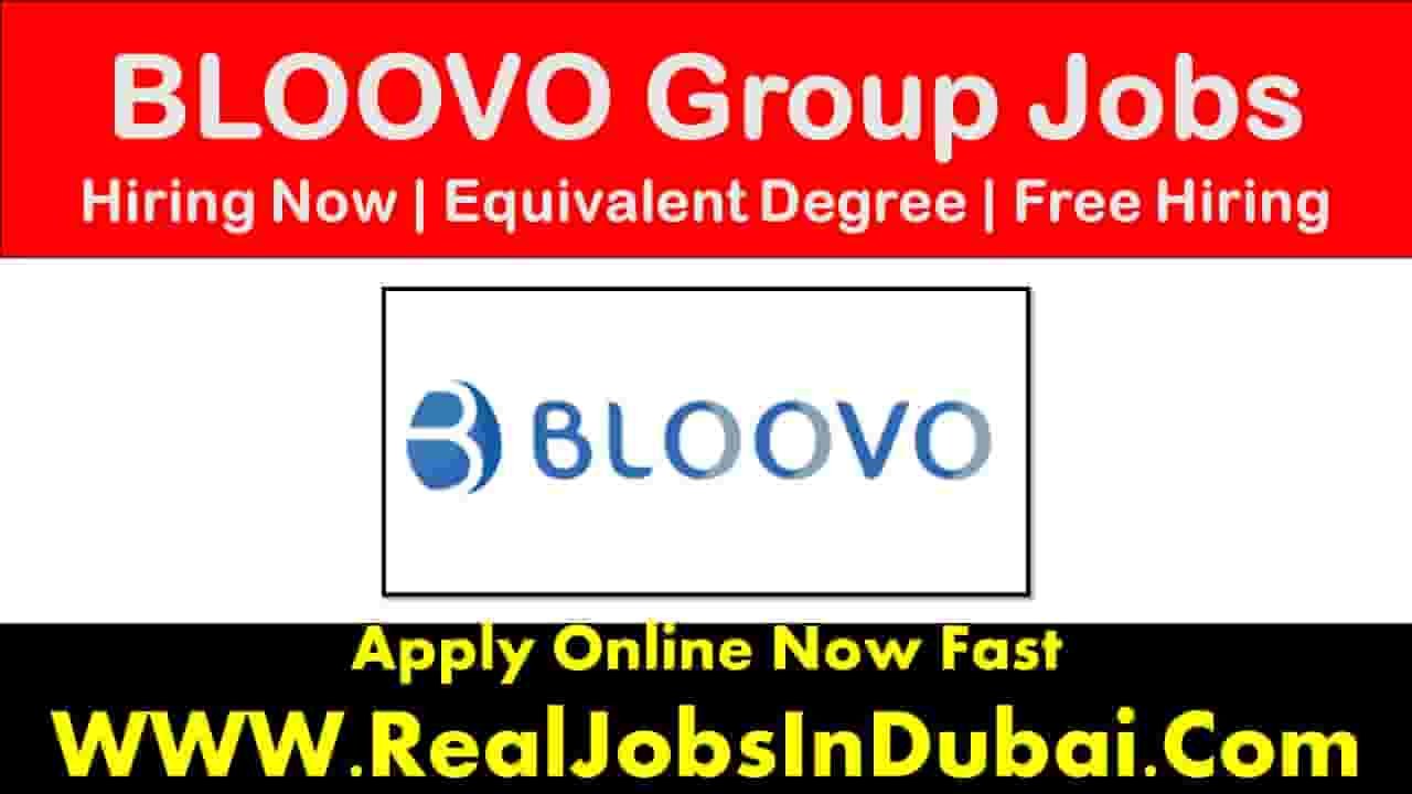 BLOOVO Group Dubai Jobs