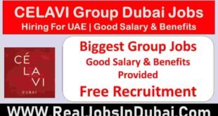 Celavi Group Jobs In Dubai