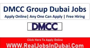 DMCC Careers Dubai Jobs