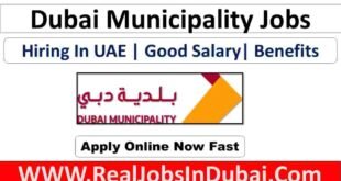 Dubai Municipality Jobs