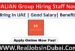 Halian Group Jobs