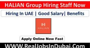 Halian Group Jobs