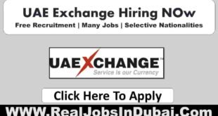 UAE Exchange Jobs