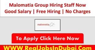 Malomatia Group Qatar Jobs