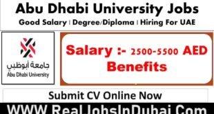 Abu Dhabi University Jobs In Abu Dhabi