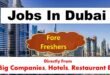 Jobs In Dubai For Freshers