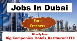 Jobs In Dubai For Freshers