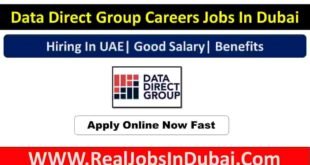 Data Direct Group Jobs In Dubai