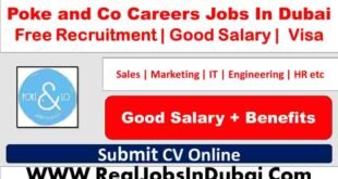 Poke and Co Careers Dubai Jobs