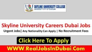 Skyline University Careers Jobs In Dubai
