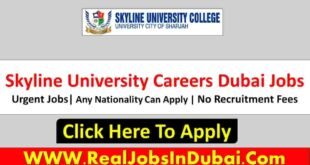 Skyline University Careers Jobs In Dubai
