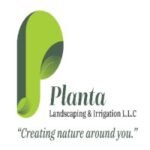 Planta Landscaping & Irrigation